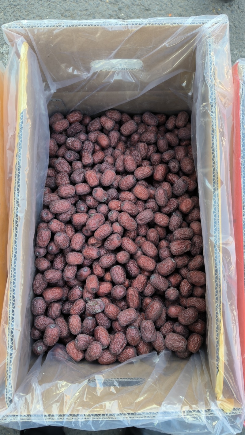 新疆灰枣骏枣各种枣制品厂家直销电商**