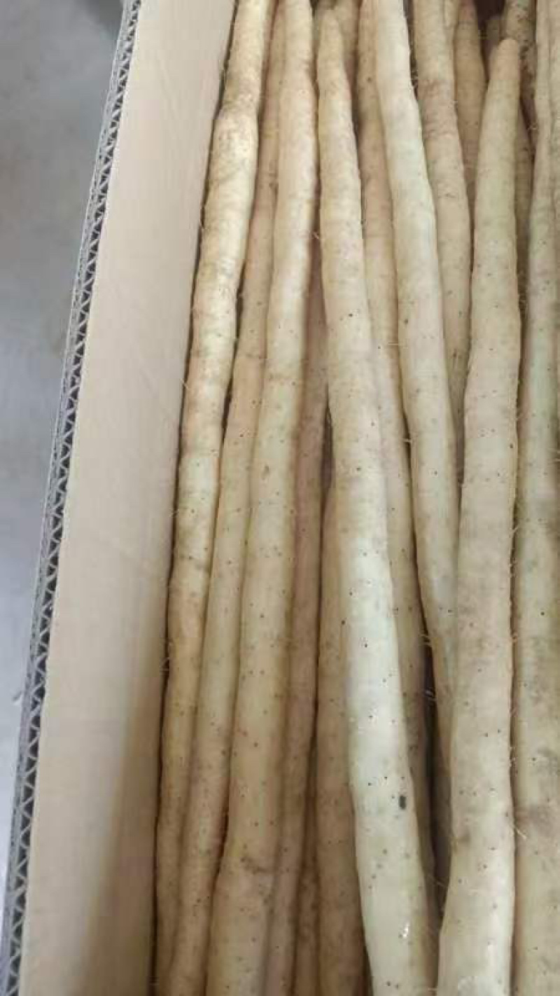 【精品山药】河北双棒，白玉，麻山药，各种品质规格齐全