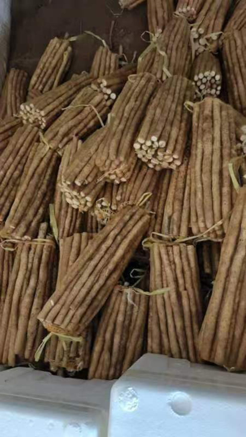 【精品山药】河北双棒，白玉，麻山药，各种品质规格齐全