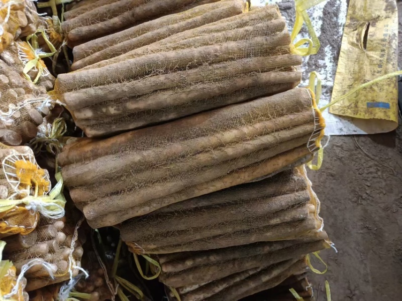 【精品山药】河北双棒，白玉，麻山药，各种品质规格齐全