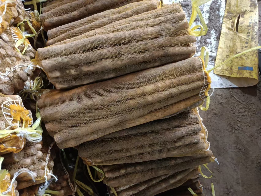 山药与不同体质人群的关系图