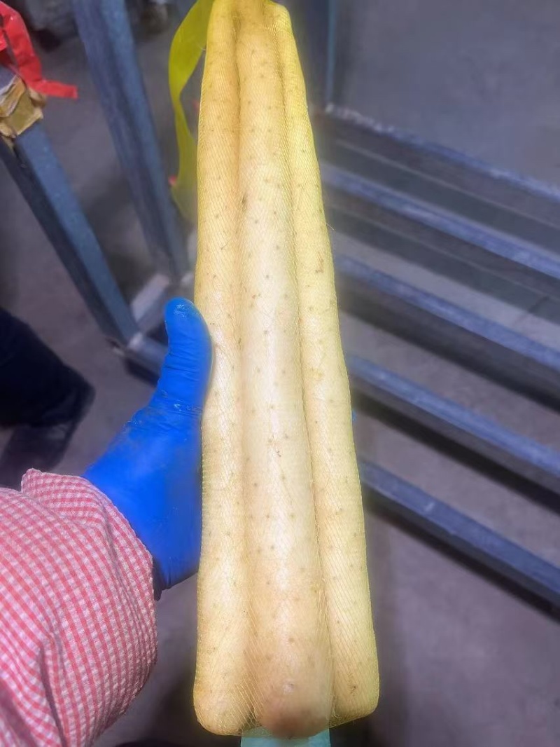 【精品山药】河北双棒，白玉，麻山药，各种品质规格齐全