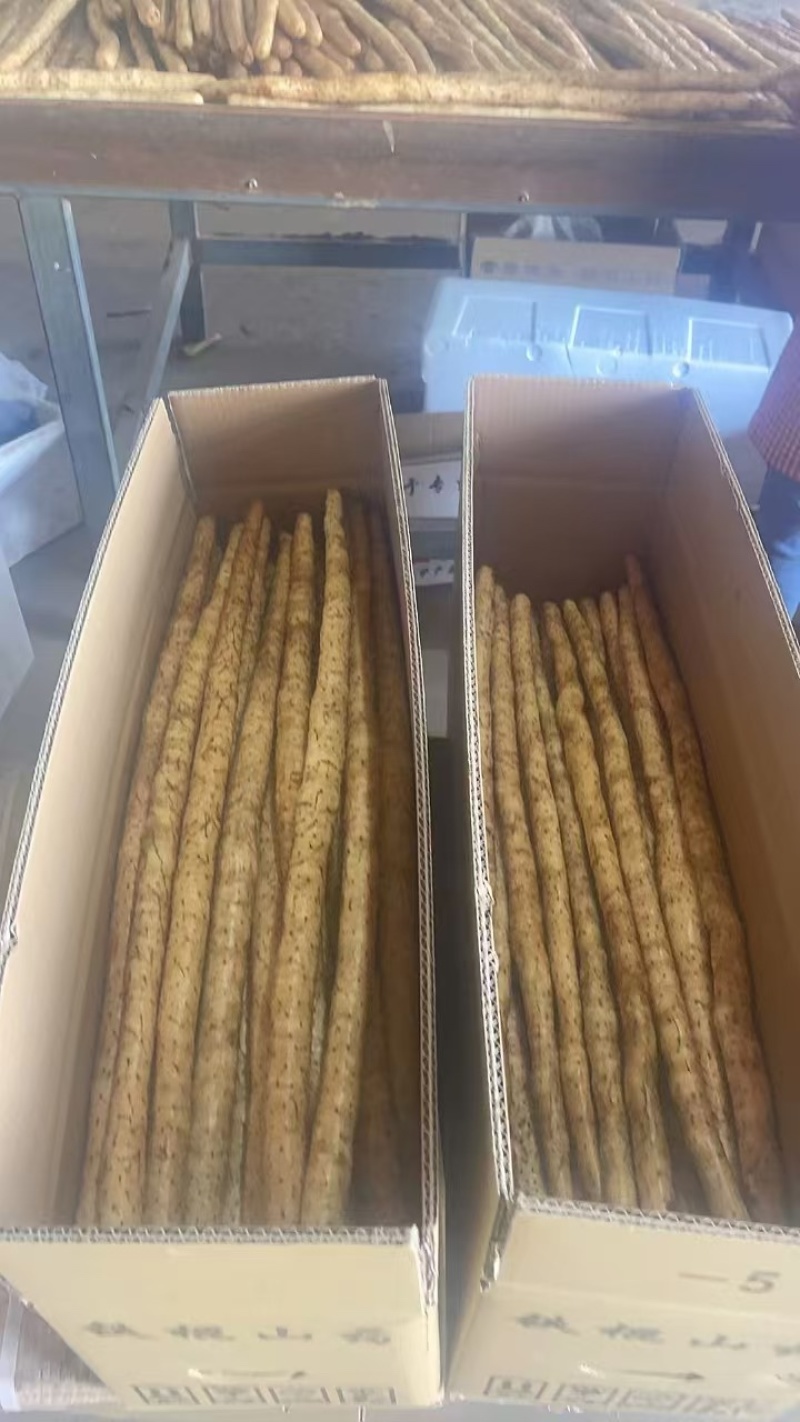 【精品山药】河北双棒，白玉，麻山药，各种品质规格齐全
