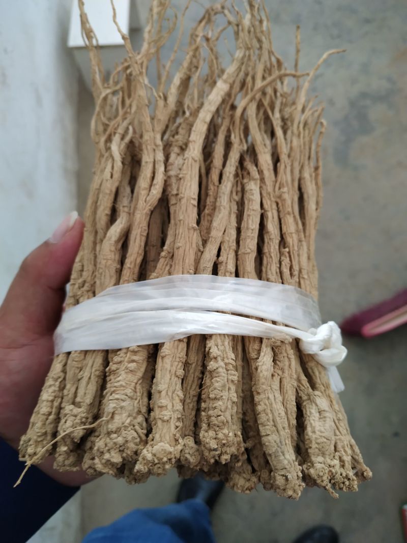 定西党参，货源保证，产地直发，欢迎来电合作，价格美丽