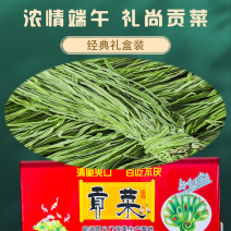 云南贡菜产地直销9斤试用装商用火锅店专用