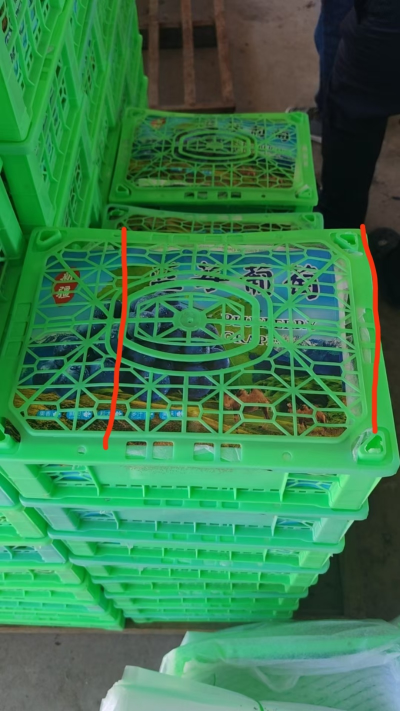 新疆蓝莓葡萄产地，每天产地现装，净果4斤小筐，上车价，需
