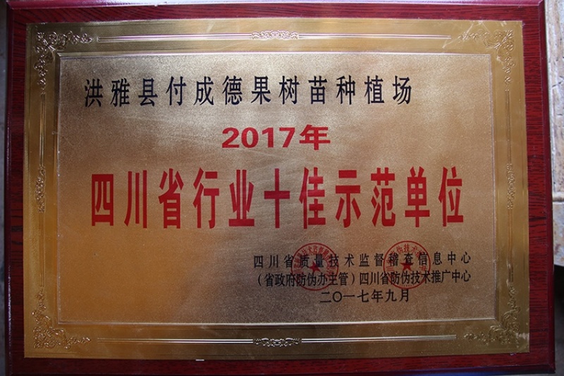 巨进一号李子苗（付成德李子苗基地）