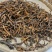 批发中药骨碎补野生大叶骨碎补无硫熏保质保量产地直发量大