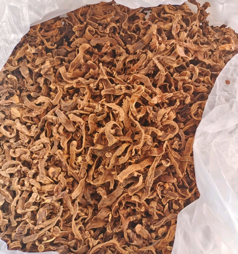 批发中药骨碎补野生大叶骨碎补无硫熏保质保量产地直发量大