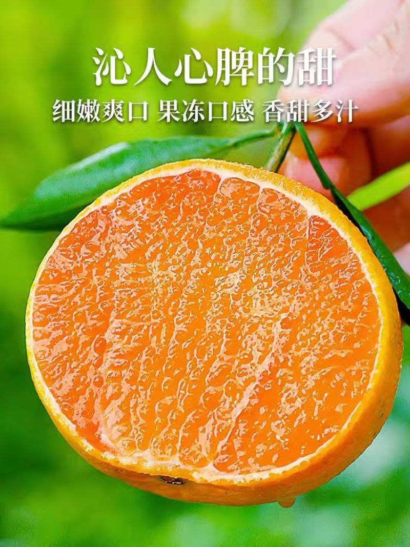 【实力推荐】广西爱媛橙，大量有货，产地直发，价格优惠