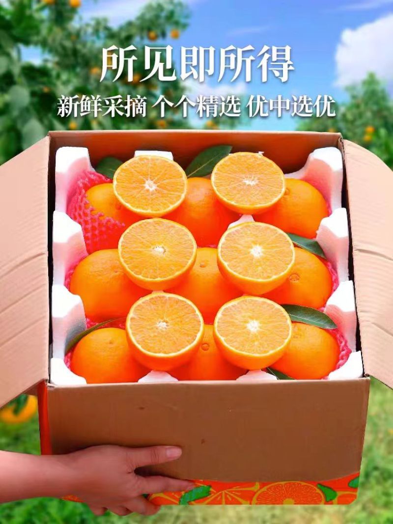 【广西脐橙】大量有货，甘甜多汁，产地直发，欢迎来电咨询