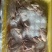 乳鸽肉白条鸽工厂发货批发商电商餐饮佛山常年稳定供货