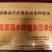 冰糖李子苗（付成德李子苗基地）