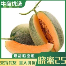 【精品哈密瓜】河南夏邑精品哈密瓜，小蜜25，大量现货供应