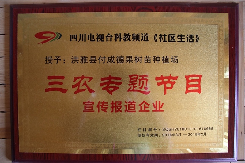 蜂糖李子苗（付成德李子苗基地）