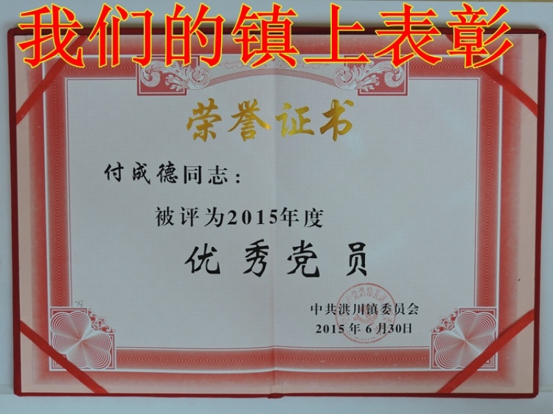 蜂糖李子苗（付成德李子苗基地）