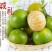 广东皇帝柑（贡柑），支持全网3斤/5斤一件代发，整车物流