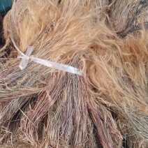 金丝草中药批发一手货源量大忧惠全国发货