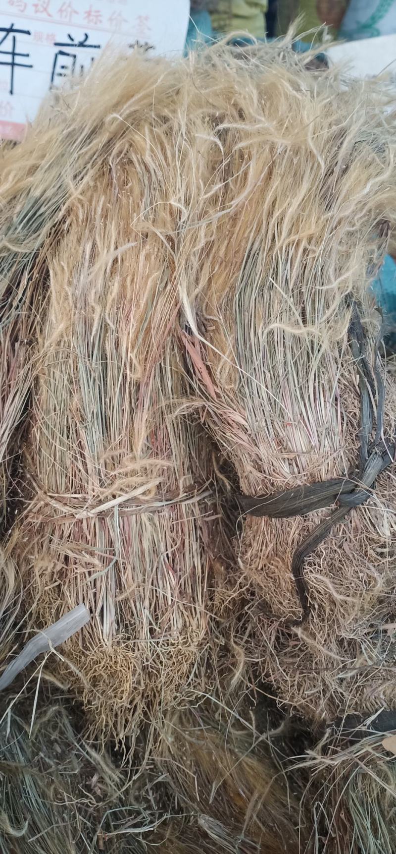 金丝草中药批发一手货源量大忧惠全国发货
