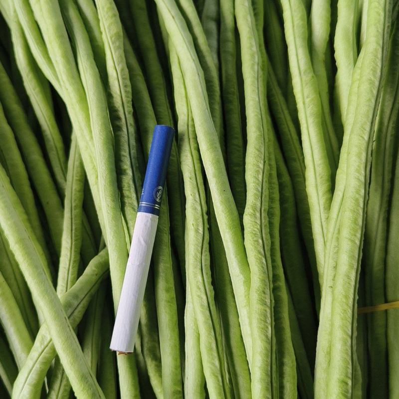 青皮长豆角豇豆角嫩直产地直发品质保障量大优惠