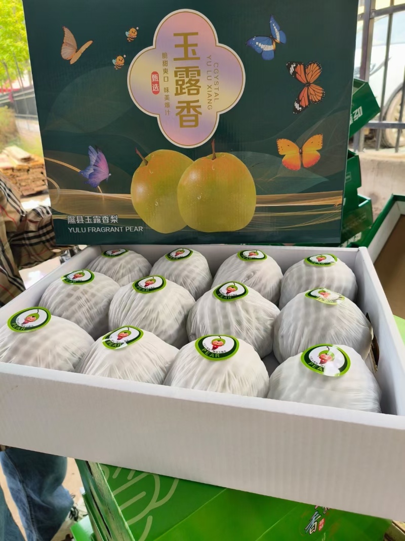 原产地隰县玉露香梨