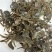 辽宁盘锦稻田蟹，多规格全国发货，量越大越便宜，质量有保证