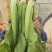 青菜，竹芥