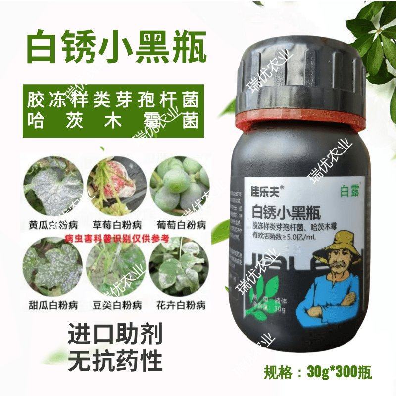 佳乐夫生物菌防治白粉锈病白锈红锈黑锈白锈小黑瓶