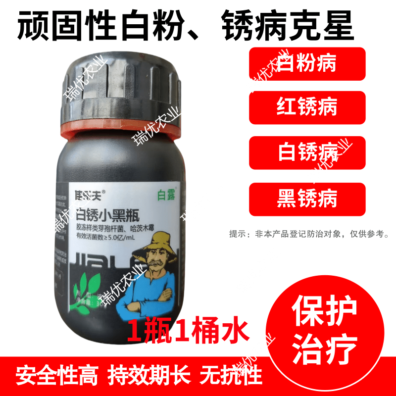 佳乐夫生物菌防治白粉锈病白锈红锈黑锈白锈小黑瓶
