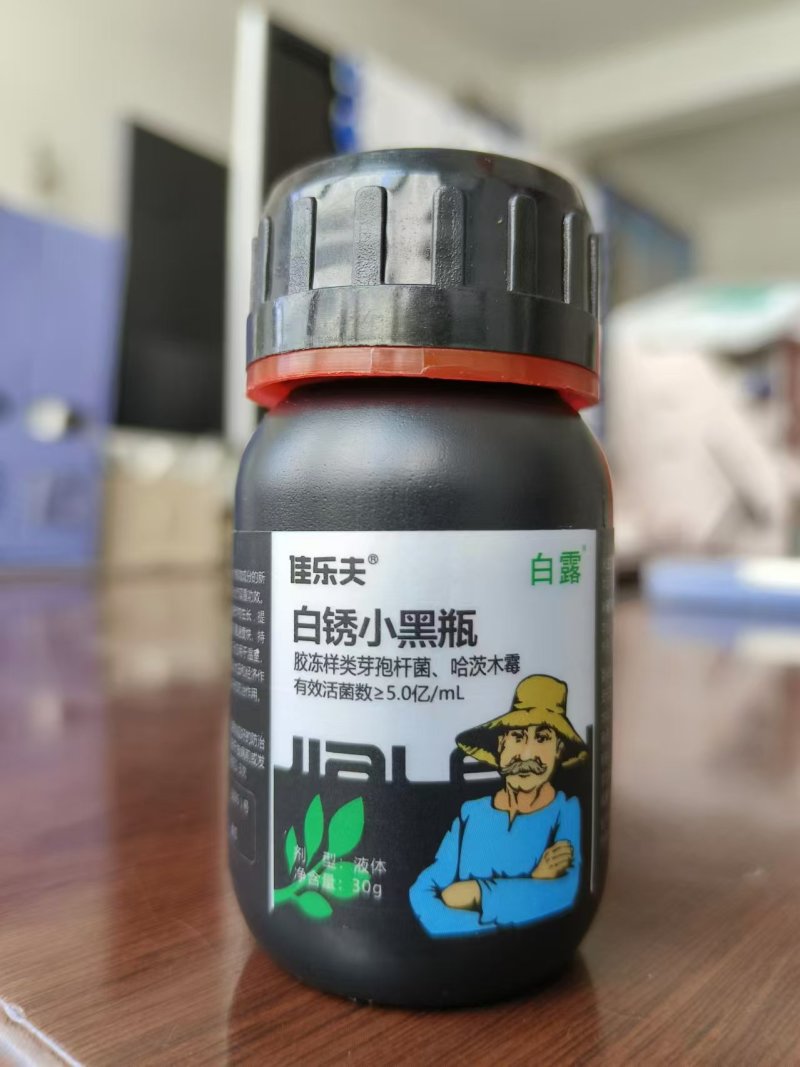 佳乐夫生物菌防治白粉锈病白锈红锈黑锈白锈小黑瓶