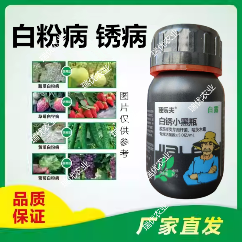 佳乐夫生物菌防治白粉锈病白锈红锈黑锈白锈小黑瓶