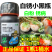 佳乐夫生物菌防治白粉锈病白锈红锈黑锈白锈小黑瓶