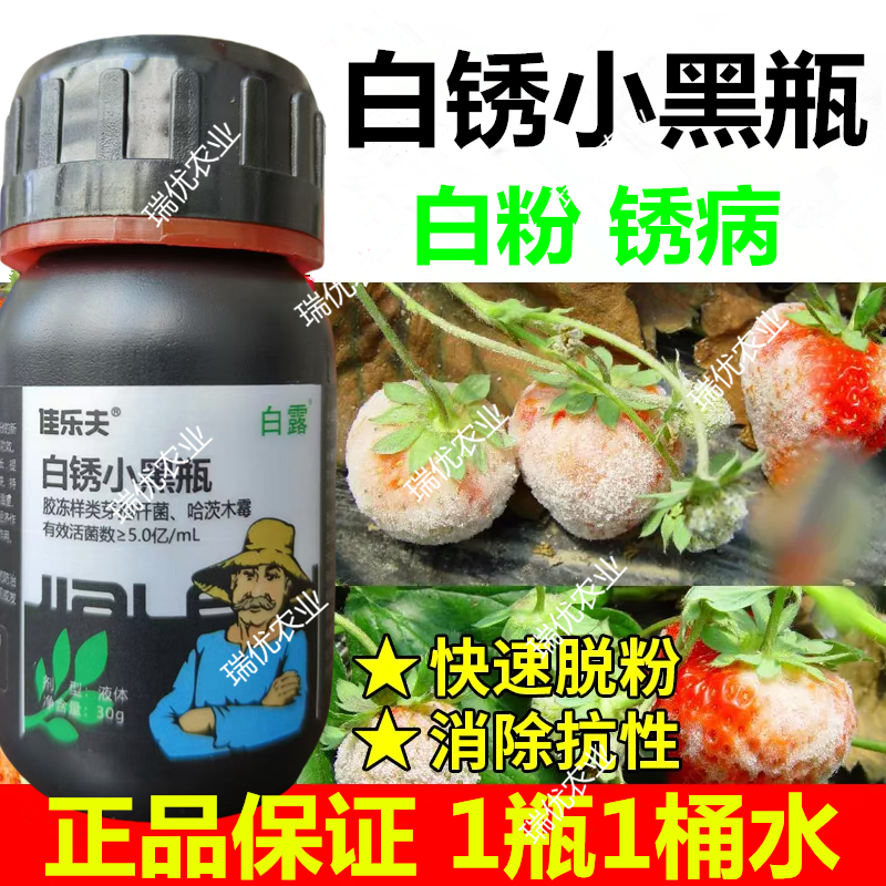 佳乐夫生物菌防治白粉锈病白锈红锈黑锈白锈小黑瓶