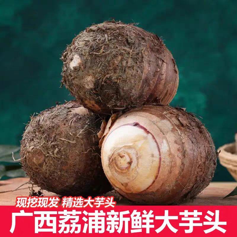 【推荐】广西芋头/荔浦芋头/福建芋头/供应市场，电商平台
