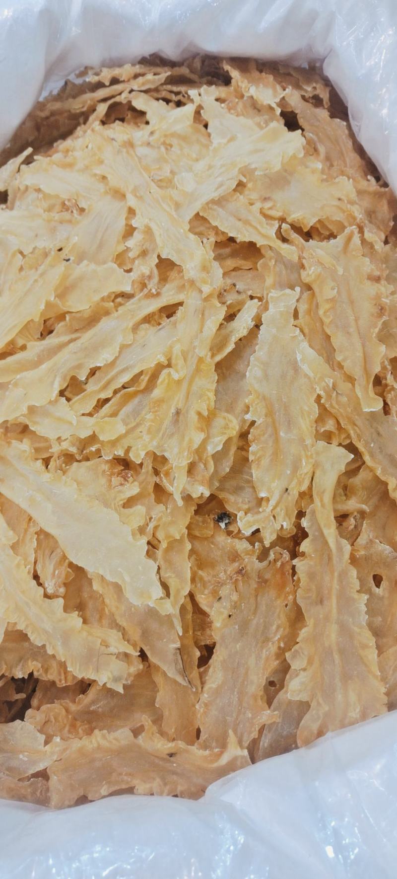 宁夏菌业大量批发鳕鱼胶厚肉质量保证批发价格
