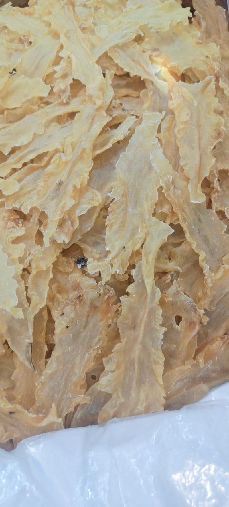 宁夏菌业大量批发鳕鱼胶厚肉质量保证批发价格