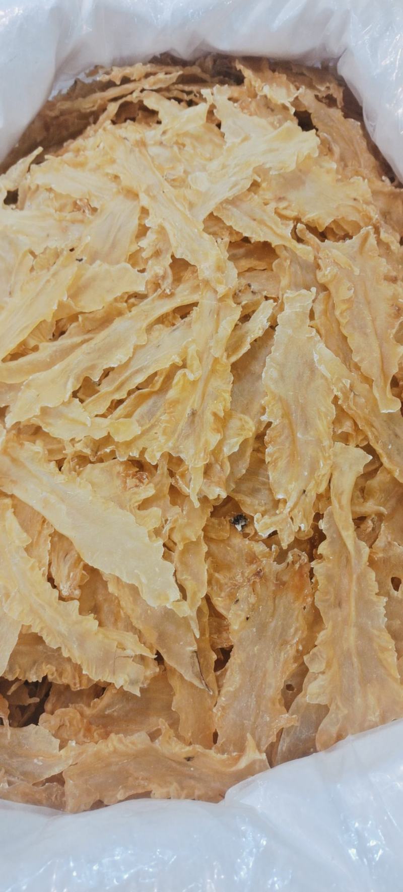 宁夏菌业大量批发鳕鱼胶厚肉质量保证批发价格