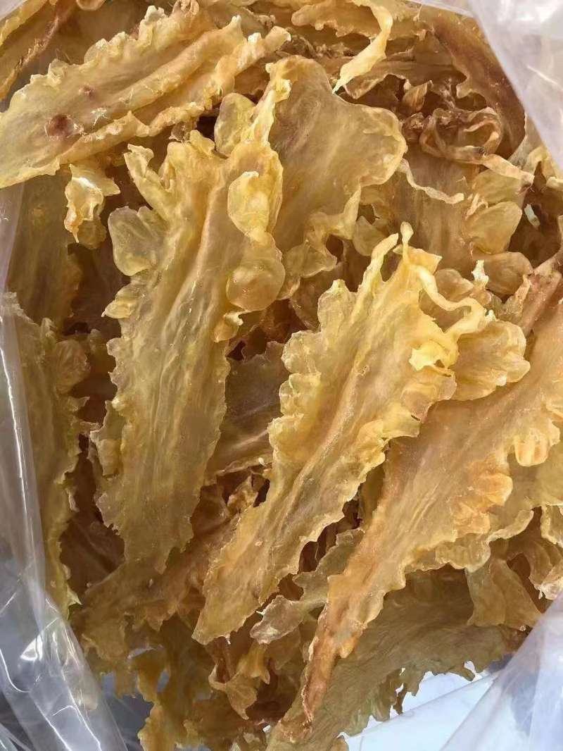宁夏菌业大量批发鳕鱼胶厚肉质量保证批发价格