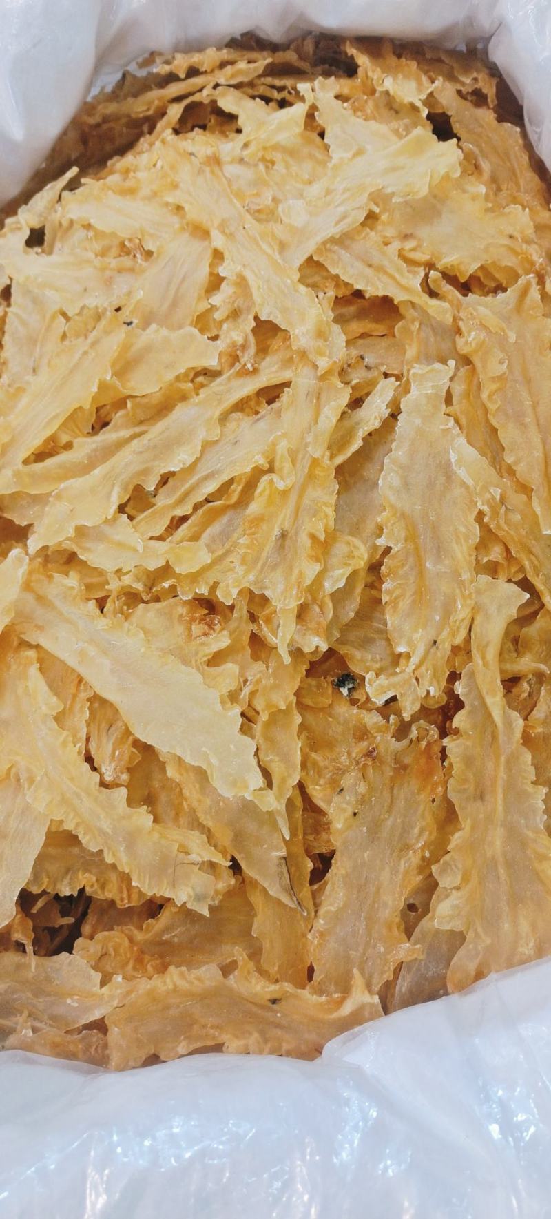宁夏菌业大量批发鳕鱼胶厚肉质量保证批发价格