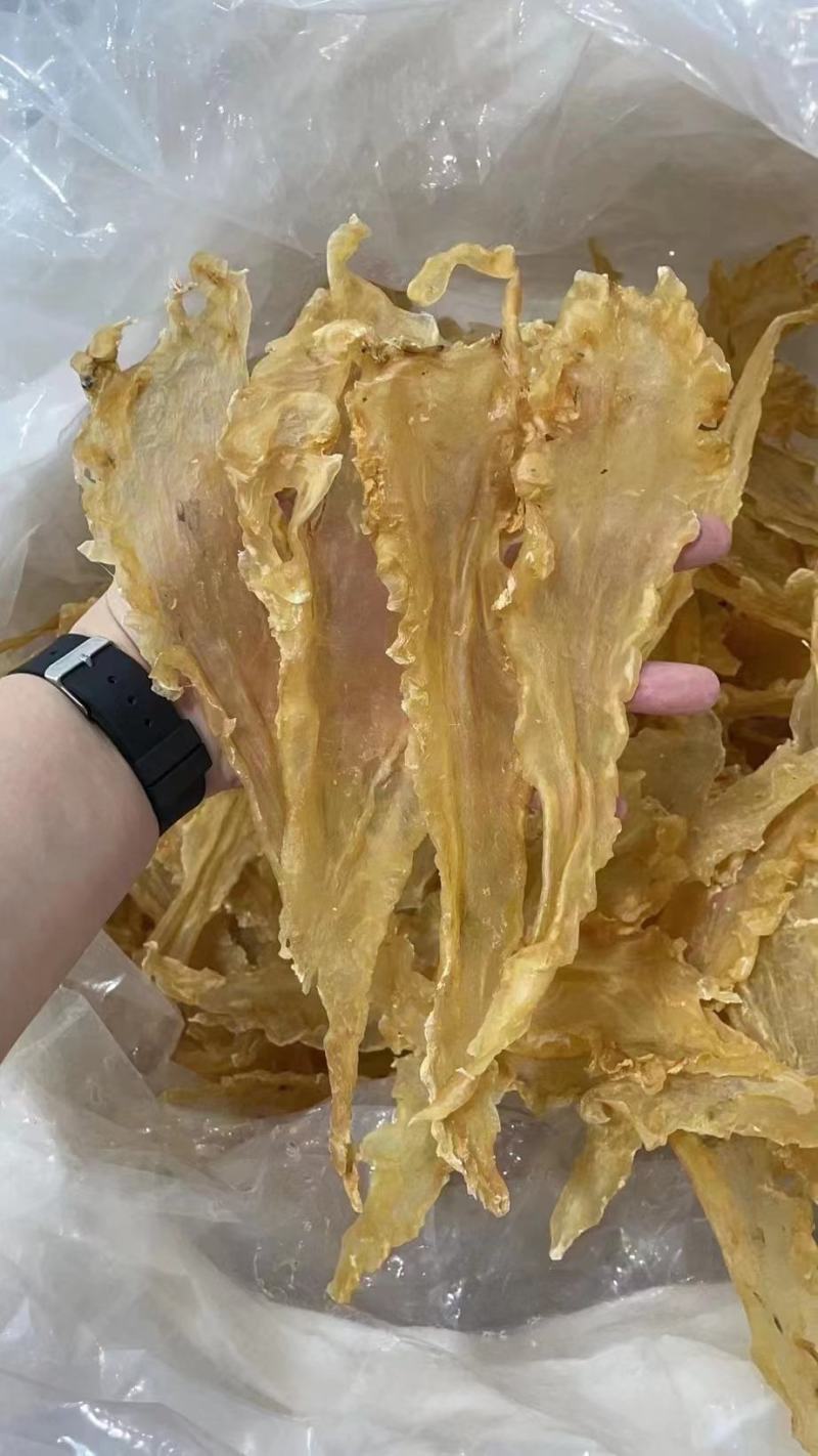 宁夏菌业大量批发鳕鱼胶厚肉质量保证批发价格
