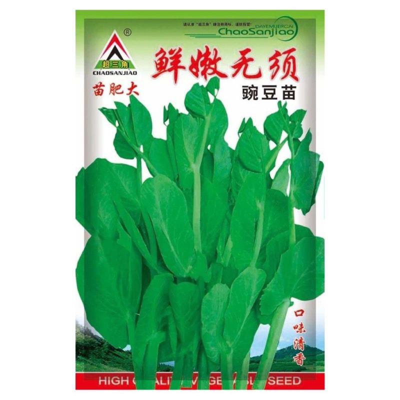 超三角无须豌豆苗种子抗病耐寒绿荚白花豌豆种籽鲜嫩无须豌豆