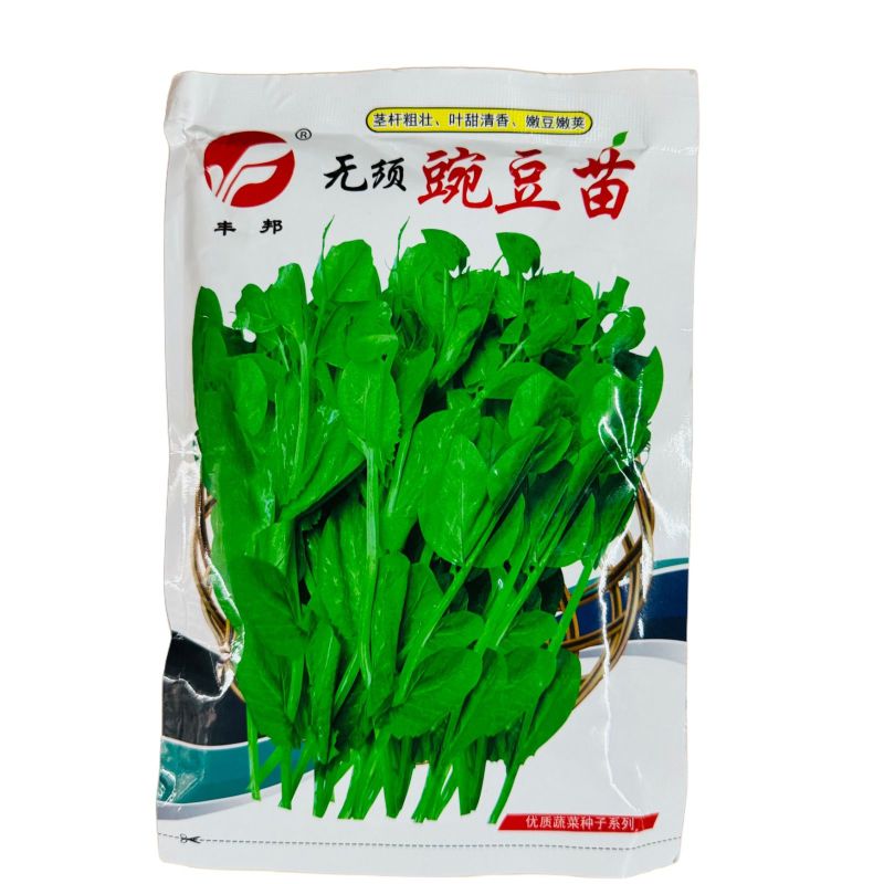 超三角无须豌豆苗种子抗病耐寒绿荚白花豌豆种籽鲜嫩无须豌豆