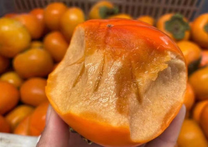 河北保定脆柿大量供应，新鲜采摘，货源充足，量大从优，脆甜