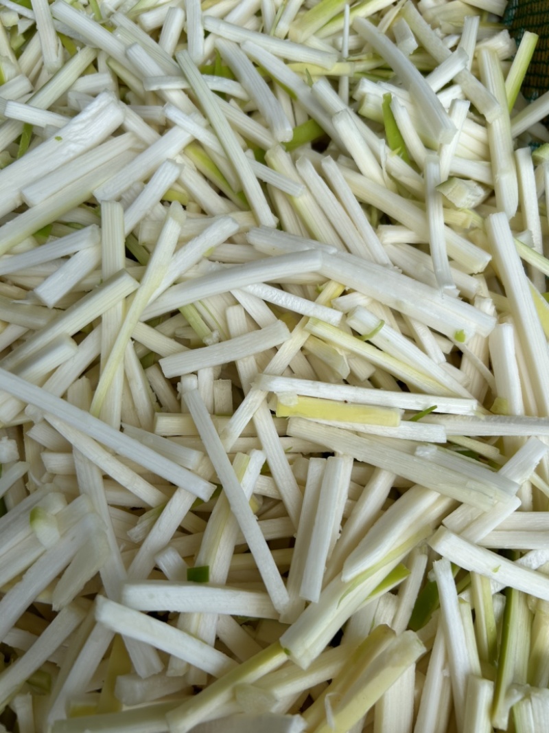 【炭烤酸笋】广东酸笋螺蛳粉配料厂家直供