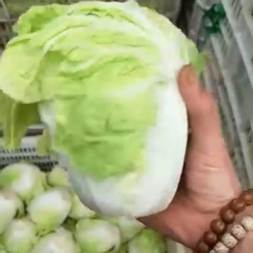 白菜，精品小白菜小油菜，甘蓝，有机花，精品叶菜类，瓜果类