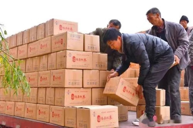 精品红枣全国发货量大从优可视频看货品质保证