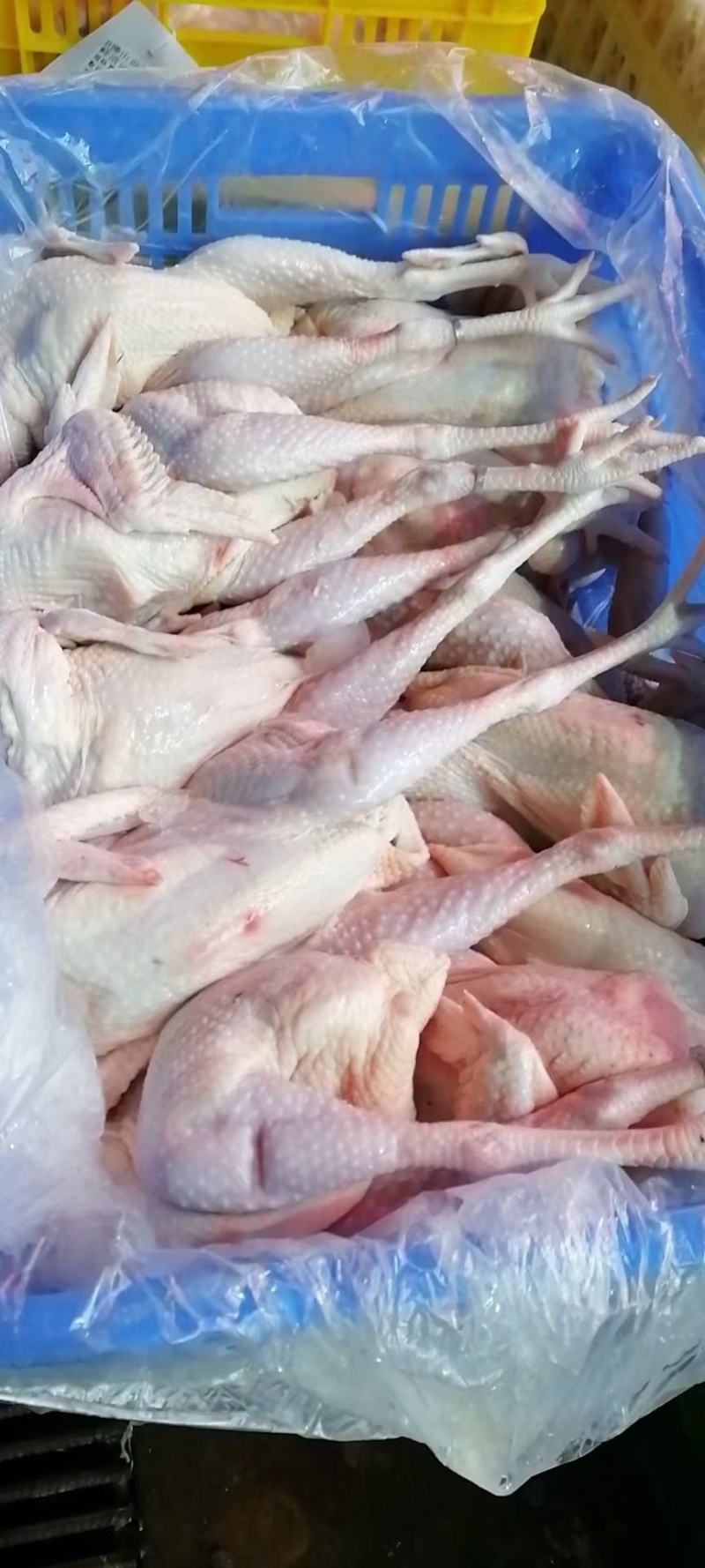 广西三黄鸡，黄身鸡，，长期有货，适合电商供应链。