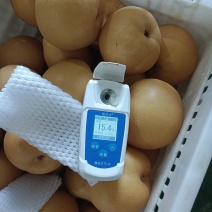 丰水梨大量现货欢迎各大平台客户洽谈，也可以做一件代发。