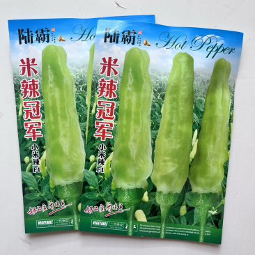 米辣品种白米椒朝天椒杂交一代口感香辣早熟品种
