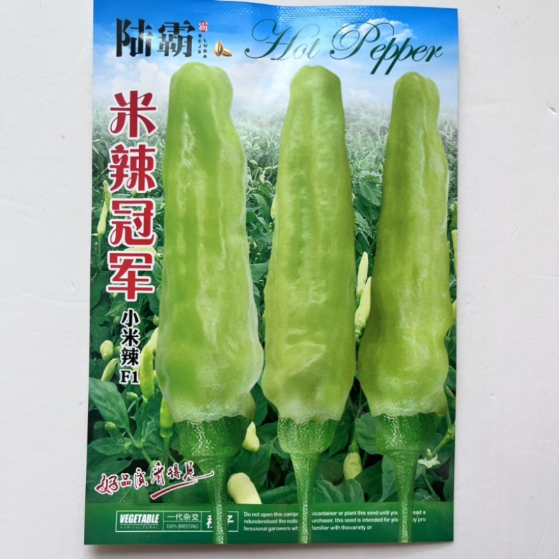 米辣品种白米椒朝天椒杂交一代口感香辣早熟品种